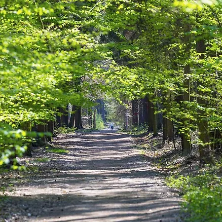 Laskara Garden By Prague Forest - Free Parking - Dog Friendly - Remote Work Friendly * Nové Jirny