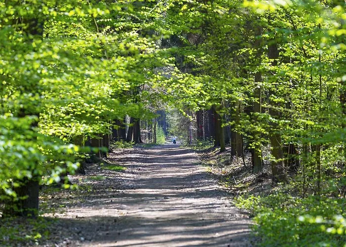 Laskara Garden By Prague Forest * Nové Jirny